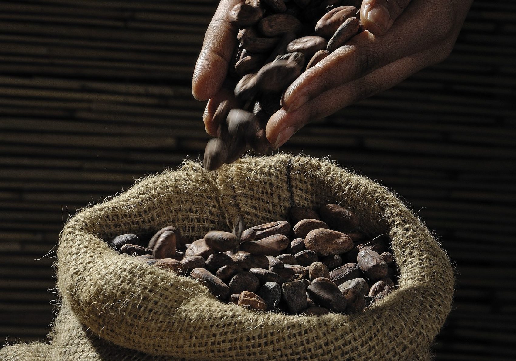 coffee beans roasted